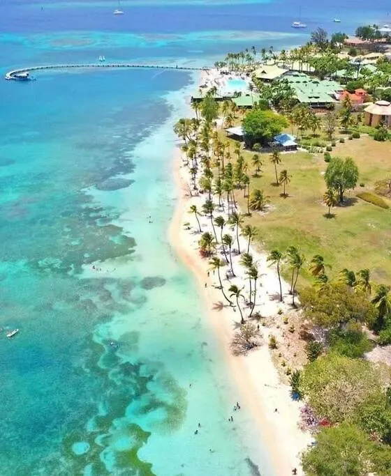 Le Lundi Au Soleil - Studio Duplex Proche Plage Sainte-Anne Apartment